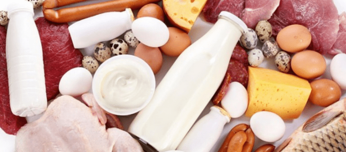 Diet Ducan Protein